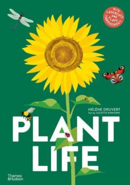 Plant Life-9780500653272