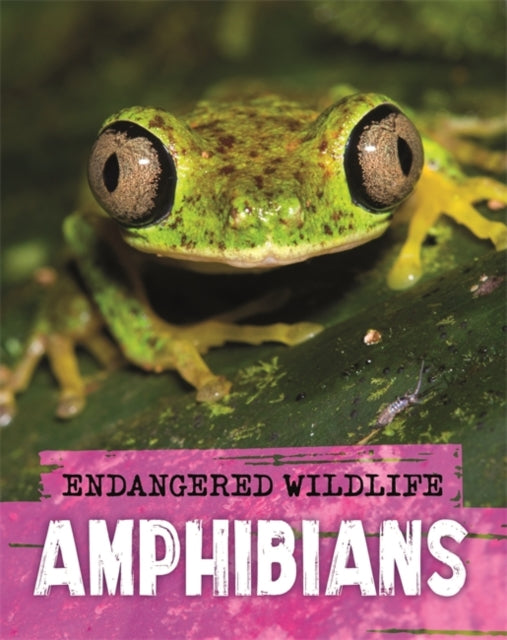 Endangered Wildlife: Rescuing Amphibians-9781526309969