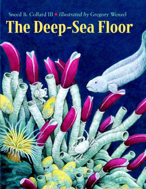 The Deep-Sea Floor-9781570914034