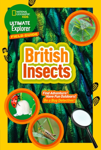 Ultimate Explorer Field Guides British Insects : Find Adventure! Have Fun Outdoors! be a Bug Detective!-9780008374556