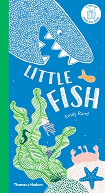 Little Fish : A Carousel Book-9780500651629
