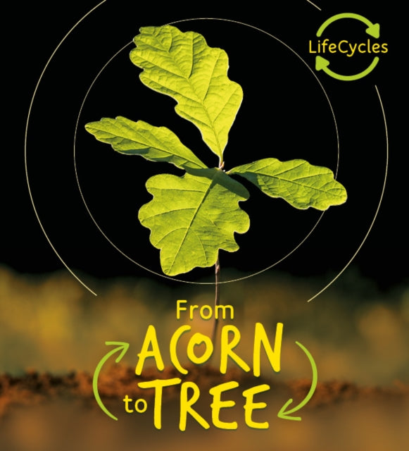 Lifecycles - Acorn to Tree-9780711243682