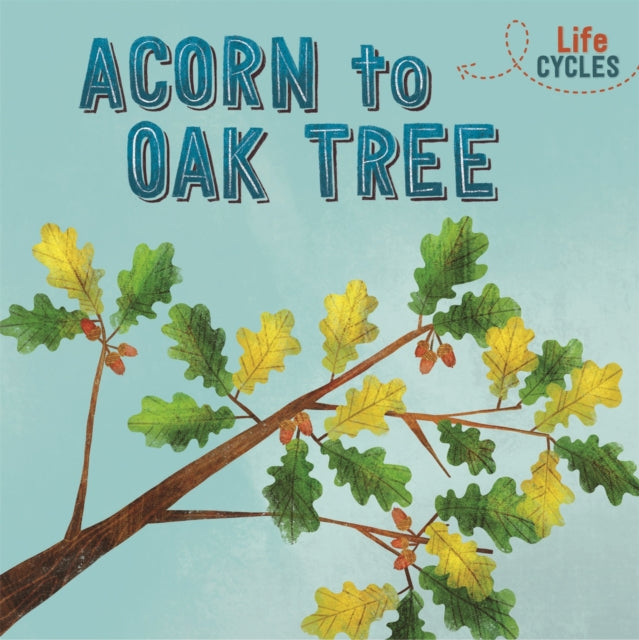 Life Cycles: Acorn to Oak Tree-9781526310286