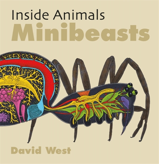 Inside Animals: Minibeasts-9781526310873