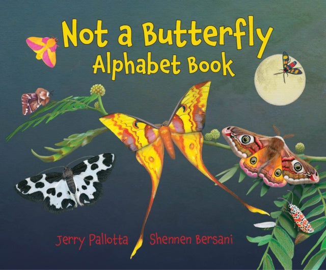 Not a Butterfly Alphabet Book-9781580896894