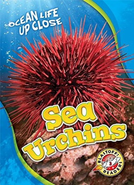 Sea Urchins-9781626176461