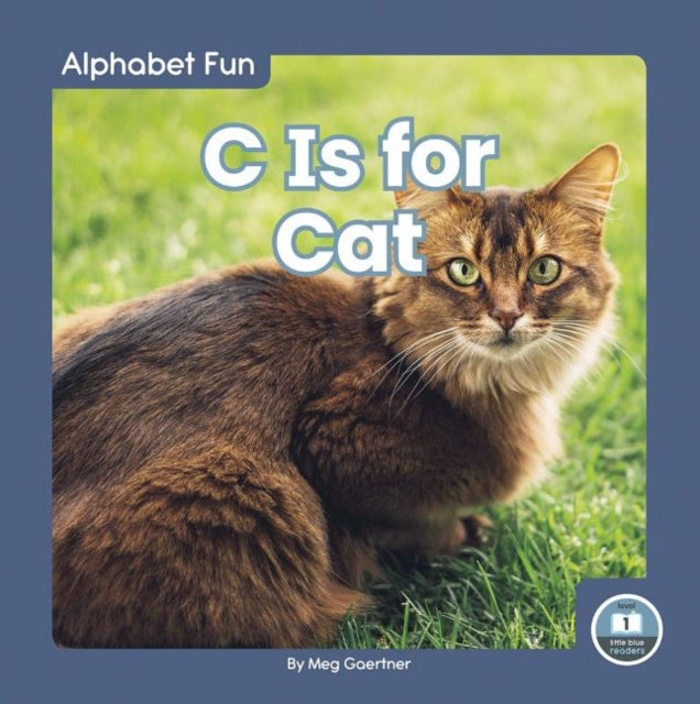 Alphabet Fun: C is for Cat-9781646193677