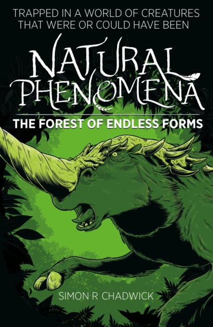 Natural Phenomena : The Forest Of Endless Forms Book 1-9781999904593